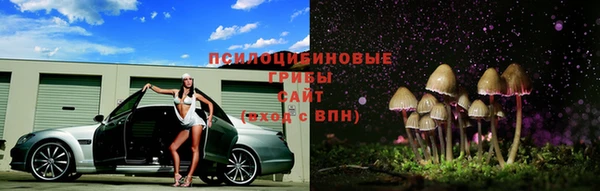дурь Богородицк