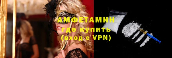 мдпв Богородск