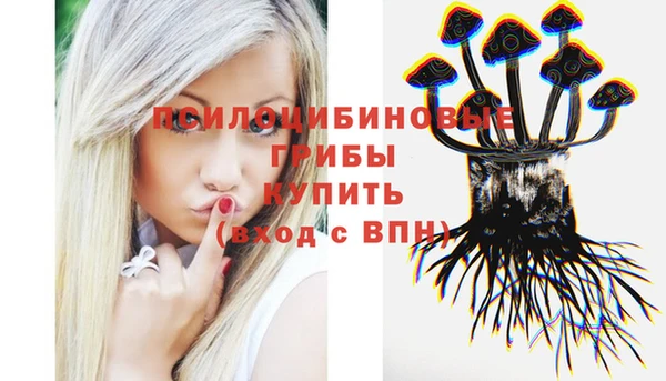 дурь Богородицк