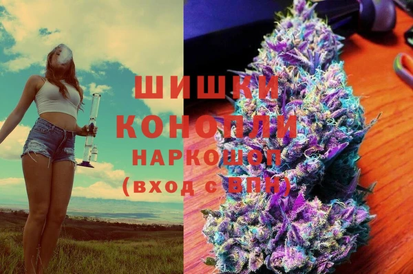 шишки Белокуриха