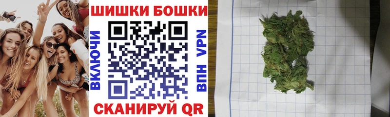 Бошки Шишки планчик Елизаветинская